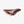Załaduj obraz do przeglądarki galerii, Brooks B17 Special Short Brown